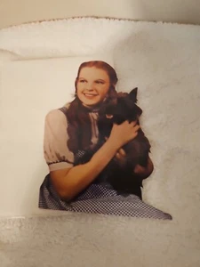 HTF Rare The Wizard of Oz Dorothy And Toto Greeting Card - 1990 - Picture 1 of 2