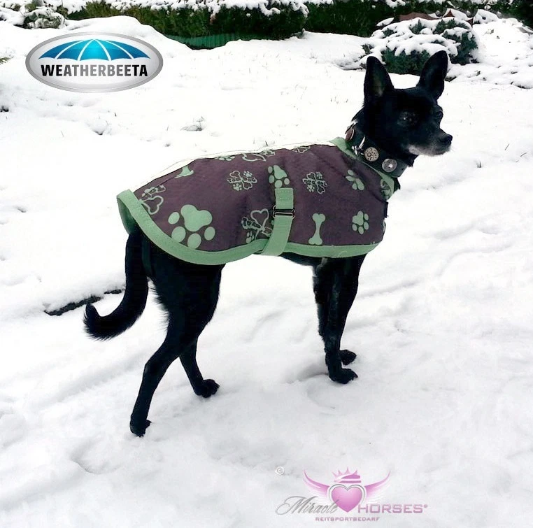 WeatherBeeta Hundemantel TOP DOG Winter Hundejacke wasserdicht gefüttert 30-70cm