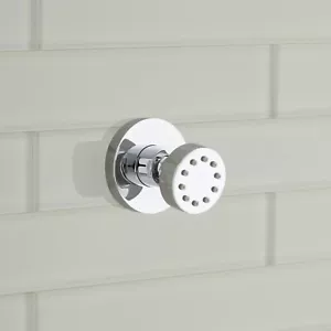 Signature Hardware Classic Swivel Body Spray - Chrom - Bild 1 von 2