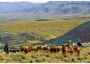 31" X 44" Panel Landscape On the Range Ranch Cotton Fabric D374.85 - Picture 1 of 1