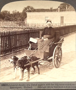 ANTIQUE 1904 HOLLAND DOGS DRAWN CART STEREOSCOPIC PHOTOGRAPH 3-D STEREOVIEW CARD - Picture 1 of 2