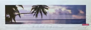 Maldives, Kaafu, Fihahlhohi Island Scenic Poster 12 x 36 - Foto 1 di 6