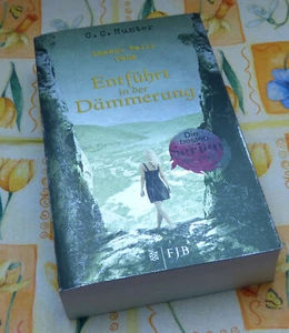 C.C. Hunter Entführt in der Dämmerung Shadow Falls Camp Band 3 Fantasy - Bild 1 von 1