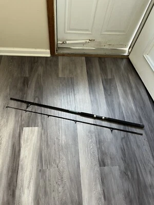 Daiwa D Wave DWF 802MRS 8' 2Pc Spinning Rod ~ 15-25lb ~ Medium Action - Image 1 of 4