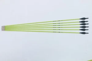6 Stück 30" Fiberglaspfeile Zielscheibe OD 6mm Bogenschießen Pfeil für Compound & Recurvebogen - Bild 1 von 10