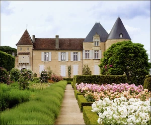 Print Chateau D Yquem Rose Flower Garden Estate Manor Garonne Valley Francia 2020 - Imagen 1 de 3