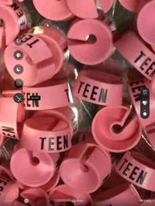 TEEN Retail Hanger Markers Slip On  TEEN 100 Mint Condition - Picture 1 of 3