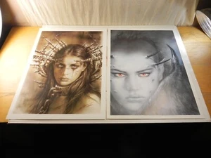 2 carteles impresos artísticos vintage de Luis Royo El anuncio y la evolución 27,5 x 19,75 - Imagen 1 de 20