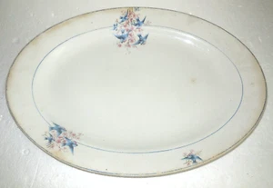 Large 11x15" Antique Bluebirds & Apple Blossoms Oval Platter Thompson Glenwood - Picture 1 of 12