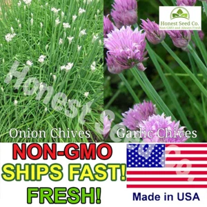 Chives Seeds Garlic and Onion Combo Pack | Non-GMO | Fresh Garden Seeds from USA - Picture 1 of 1