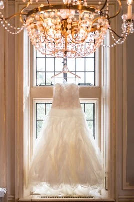 Vestido de novia Pronovias Dorado sin tirantes de encaje de tul blanco roto 14/16 Foto 1 de 4