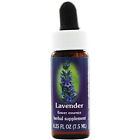 Flower Essence Services Lavender Dropper Herbal Supplement 0.25 Oz