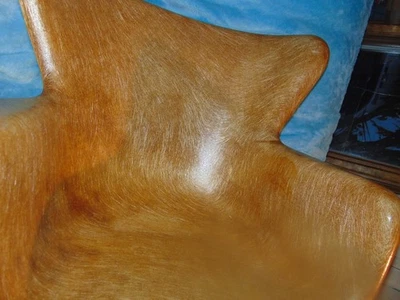 Silla moderna de fibra de vidrio moldeada Mid Century con base de hierro forjado Foto 1 de 4