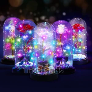 Preserved Eternal Rose In Glass Galaxy Flower Dome LED Light Gift for Her Mother - Picture 1 of 70