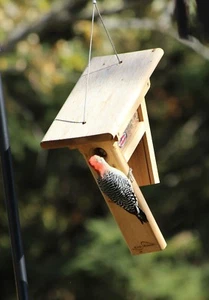 Alimentador mezcla de maní Kettle Moraine The Clinger pájaro carpintero - Imagen 1 de 4