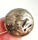 Natural Unikat Ammonit mit Silber glitzernden Pyrit Geode , 31x31x5mm 50ct (847)