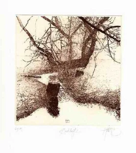 Walter Herzog - "BACHLAUF" -  1994 - Original Radierung signiert limitiert - Picture 1 of 1