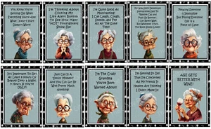 SET of TEN Old Lady/Elderly MAGNETS - Cute and Humorous - Shipping FREE! - Picture 1 of 1
