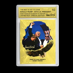 Assassination Attempt Trump Plastic Rating Card US President FIGHT Souvenir - Zdjęcie 1 z 12