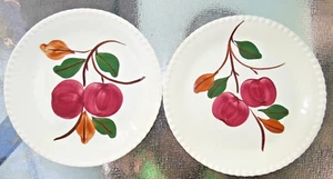 Set of 2 Vintage Blue Ridge S. Potteries DELICIOUS Apple Luncheon Plates 9 1/4" - Picture 1 of 6