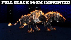 ARK Survival Ascended PvE PC/XBOX/PS5 Top Stats Pyromane (lion) All Black 960m - Picture 1 of 11