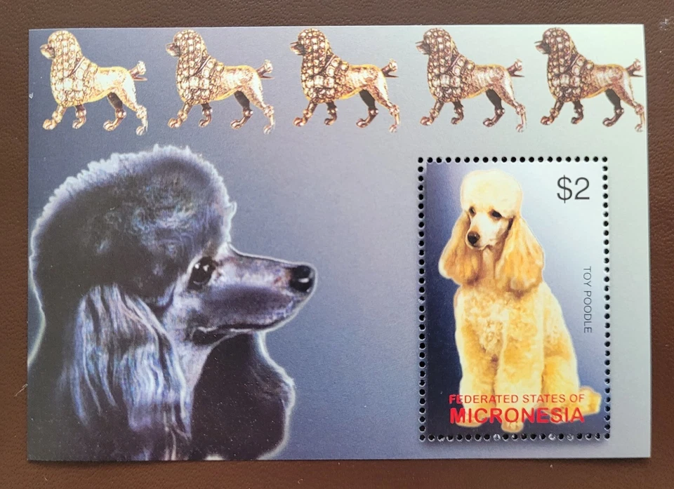 Micronésia 2003 / Cães - Poodle de brinquedo / 1v ms - Imagem 1 de 1