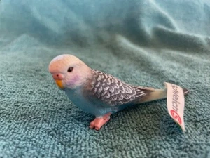 Blauer Wellensittich von Schleich / Neu mit Etikett / Spielzeug / Vogel / Sittich / 14409 / Rentner - Bild 1 von 4