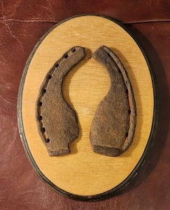 Antique Ox Shoes Hand Forged Oxen Farm Shoes on A Nice wooden Plaque. - Picture 1 of 2