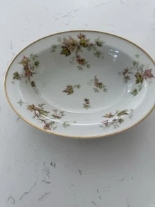 Vintage Haviland Limoges Herbst Blatt Servierschale Goldrand 9,5x7" EUC - Bild 1 von 3