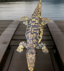 RARE TREE HOUSE KIDS ALLIGATOR CROCODILE PLUSH STUFFED ANIMAL TOY LARGE - Picture 1 of 3