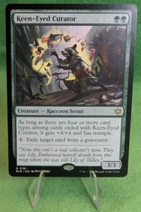 x1 Curador Keen-Eyed Bloomburrow Regular - Raccoon Scout - #181 - Imagen 1 de 4