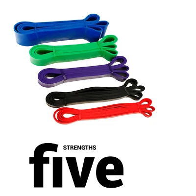 WELLNESS SEER Resistance Bands Loop Legs Therapy Fitness Tube Workout Bands Set Fitness Yoga