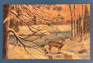 Postcard Painting By Robert Scott deer buck winter scene UNUSED - Picture 1 of 2