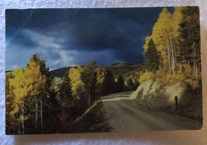 Aspen Time In New Mexico Postcard (D1) - Picture 1 of 2