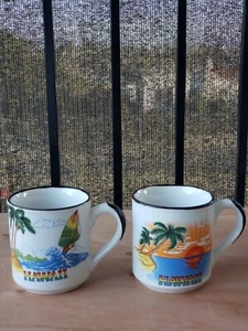 Set due tazzine da caffè souvenir Hawaii - Foto 1 di 7