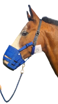 UNDISCLOSED Ultimativer Weidemaulkorb reduzieren Gras Pferd Pony Shetland Zugpferd Laminitis