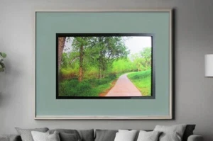 A Walk in the Park (Canvas) - Picture 1 of 5