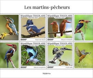 Togo - 2022 Kingfishers, Woodland, Pied - 4 Stamp Sheet - TG220111a - Picture 1 of 1