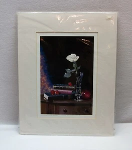 Gary D. Curtis Limited Edition Numbered Signed Sealed Matted Art Artwork Print - Picture 1 of 6