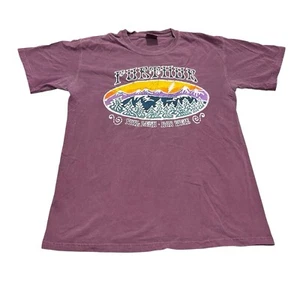 Furthur 2011 Tour Shirt Herren Small Grateful Dead Bob Weir Phil Lesh - Bild 1 von 5