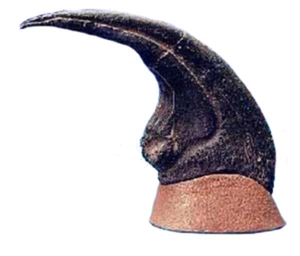 Allosaurus Dinosaur Claw Replica on Base-9 inches- By Dinosaurs Rock - Picture 1 of 1