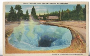 Vintage Postkarte - Morning Glory Pool, Yellowstone Nat'l Park, Montana - Bild 1 von 2
