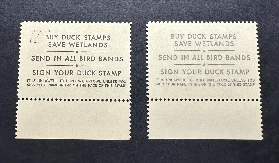 #RW53 1986 - Federal Duck Stamp - MNH **BLACK & GRAY COLOR VARIETY TEXT ERROR** - Imagem 1 de 3