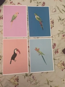 Yvonne Ellen Bird Wall Prints, 4 Beautiful Prints Including Toucan, Parrot - Picture 1 of 5