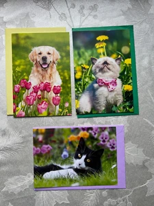 Lovable Companions Collection - Greeting Cards Lot of 3 Cards with Envelopes - Picture 1 of 2