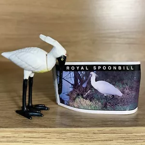 Yowie Royal Spoonbill Series 3 - Picture 1 of 1