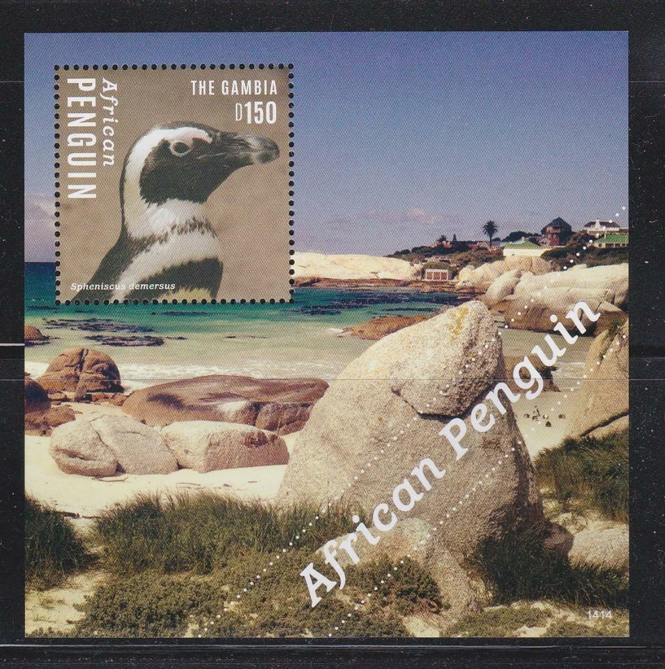 GAMBIA 2014 BIRD STAMPS AFRICAN PENGUIN  SS MNH - BIRDL599 - Image 1 of 1