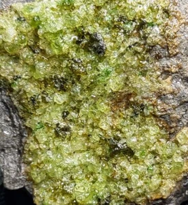 116gm. Peridot Rough Olivine Basalt, from Peridot San Carlos Arizona Native - Picture 1 of 6