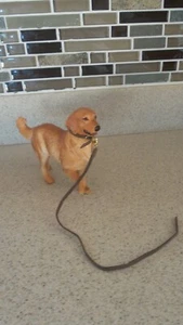 Breyer Leder Hundehalsband & passende Leine - goldfarbene Schnalle/Druckknopf - Hunde NICHT inkl!! - Bild 1 von 5