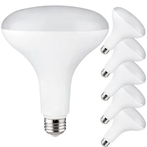 6Pack BR40 LED Reflector Light Bulb, Indoor, 6500K, 13W (75W), 1100LM - Picture 1 of 1